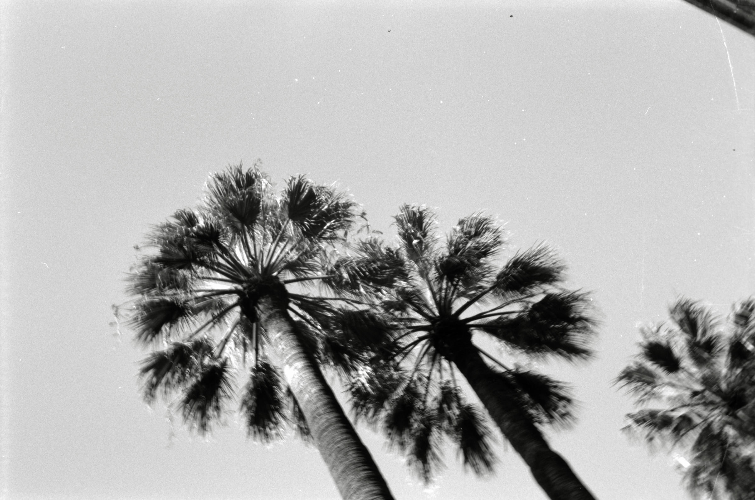 AHP F1996 03 001 sc240818 img16 NLP